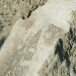 Earl Of East | Atlas Cedar - Soy Wax Candle - 260ml [9.1oz] -FRAGRANCE Store earl of east atlas cedar natural soy wax candle 260 2