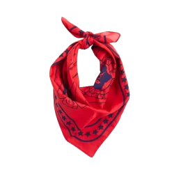 HAY | Dogs Scarf - Red